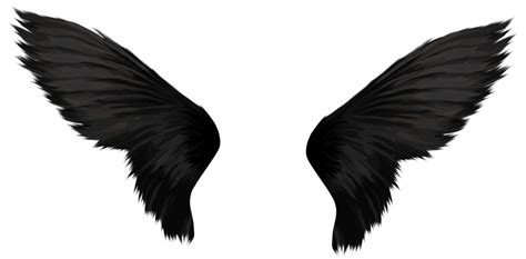 Wings Png