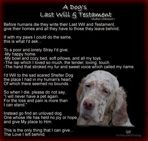 Sad Dog Poems