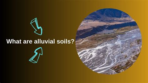 What Are Alluvial Soils Youtube