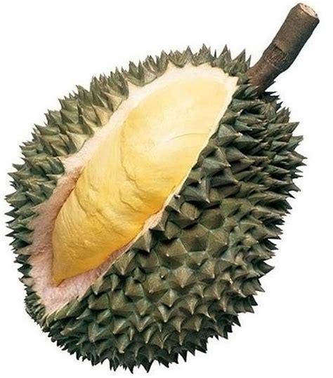 Rare and sometimes even weird tropical fruits, with unusual and unique shapes and flavors. Most unusual fruits - 10 Pics | Curious, Funny Photos / Pictures