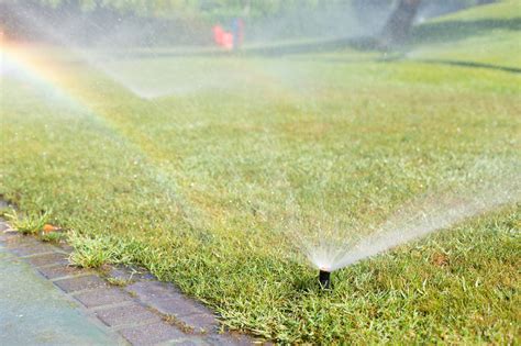 How to build an automatic sprinkler system. Advantages of Automatic Sprinkler Systems