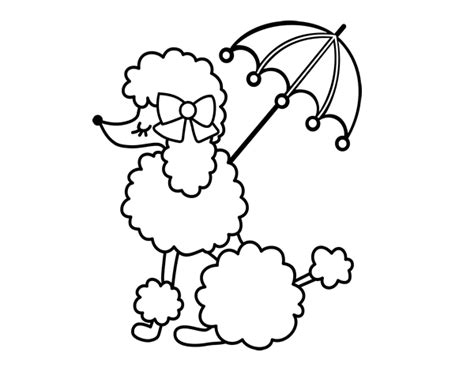 37+ poodle coloring pages for printing and coloring. Poodle with sunshade coloring page - Coloringcrew.com