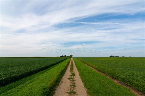Dirt Road In The Midwest Stock Photo Image Of Journey 159624036