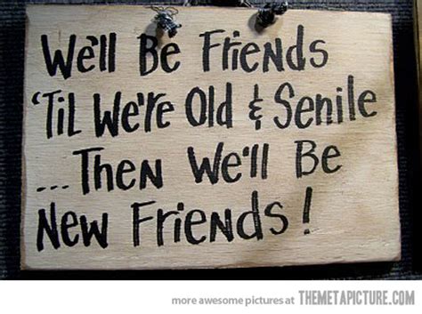 Funny Quotes About Old Friends Quotesgram