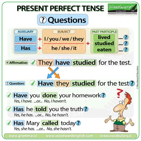 Present Perfect Tense Questions Worksheet