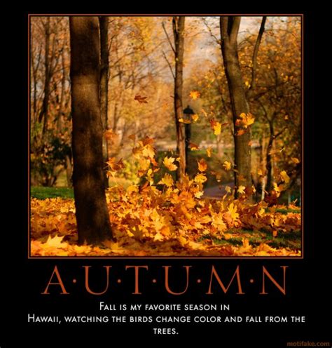 Funny Quotes About Autumn Quotesgram