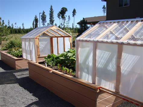 My husband built for me a. danger garden: Mini-greenhouses or raised beds? Both!
