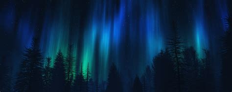 Forests Aurora Borealis Wallpaper 2560x1024 254246 Wallpaperup