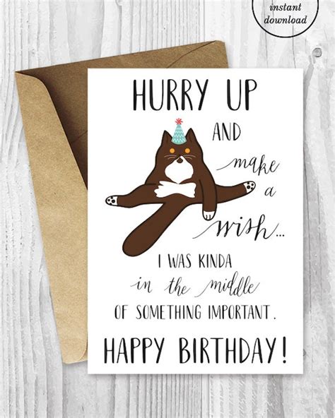 Funny Birthday Printable Cards Funny British Shorthair Cat