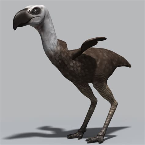 Max Phorusrhacos Bird