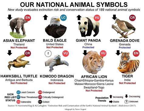 Also, the panda is one of china's most endangered species, so i guess it would make sense for the panda to be china's national animal so we can protect them. Study shows need for increased protection of world's ...