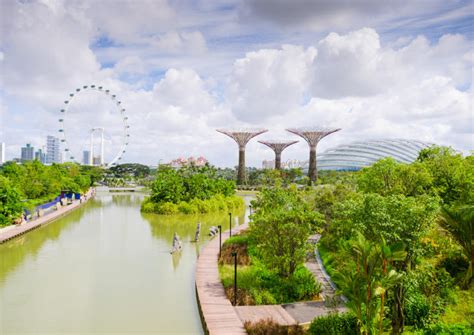 Message from singapore tourism board. The Best Gardens by the Bay Tours & Tickets 2021 ...