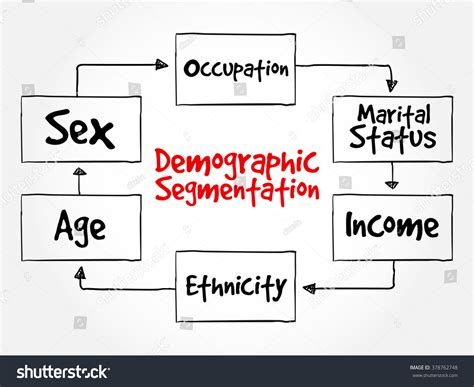 Demographic Segmentation Mind Map Flowchart Social Stock Vector