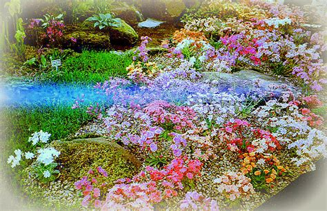 Pastel Garden Photograph By Maro Kentros Fine Art America
