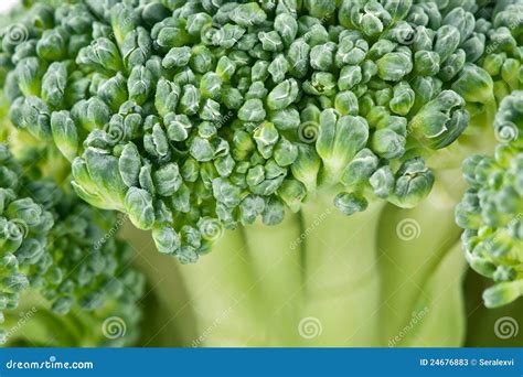 Broccoli Close Up Stock Image Image Of Vegetable Green 24676883