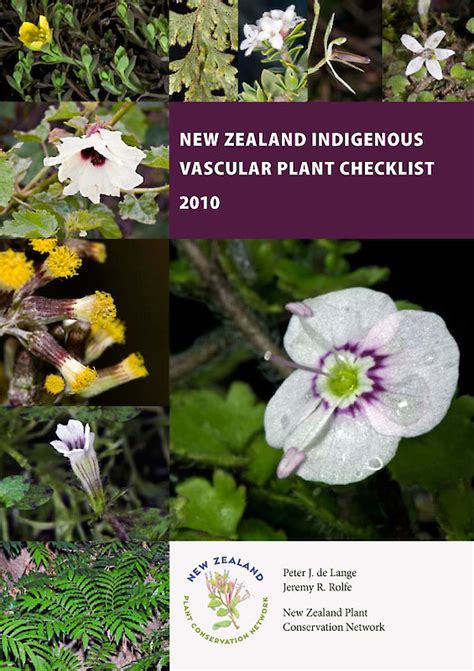 Nz Indigenous And Naturalised Plant Lists New Zealand Plant