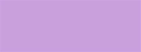 851x315 Wisteria Solid Color Background