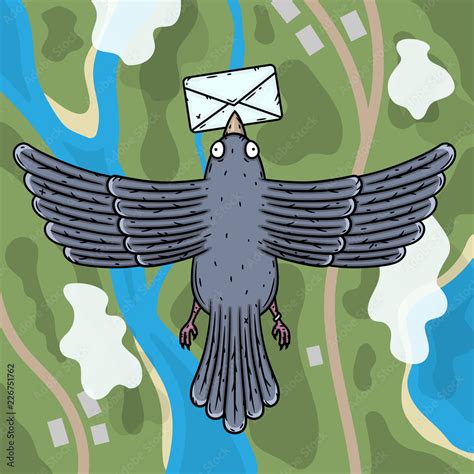Carrier Pigeon Pigeon Postman With A Letter In His Beak Top View
