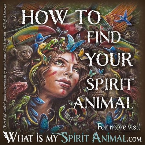 How To Find Your Spirit Animal The Complete Guide Find Your Spirit