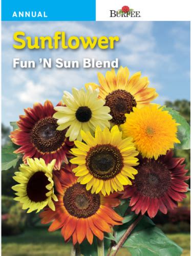 Burpee Fun N Sun Sunflower Blend Seeds 1 Ct Kroger