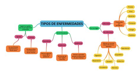 SALUD Y BIOMEDICINA Y VICEVERSA Tipos De Enfermedades