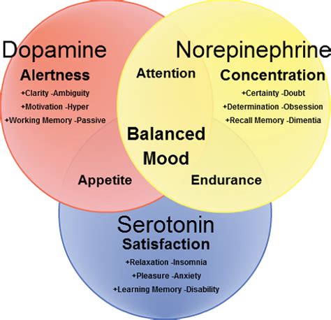 Difference Between Serotonin And Dopamine Difference Between