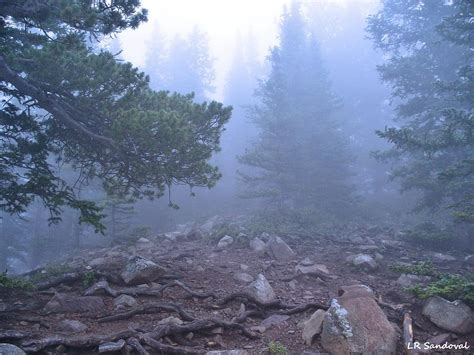 Bear Lake Fog Photograph By Lena Sandoval Stockley Fine Art America