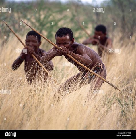 Kung Bushman Hunting With Bow And Arrow North Eastern Namibia South