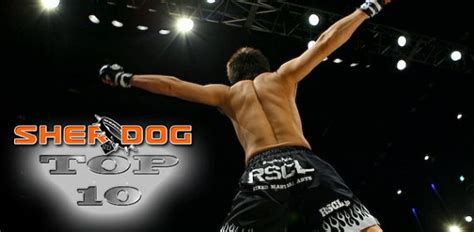 Sherdogs Top 10 Regional Mma Promotions Top 10