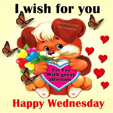 I Wish For You A Happy Wednesday Pictures Photos And Images For