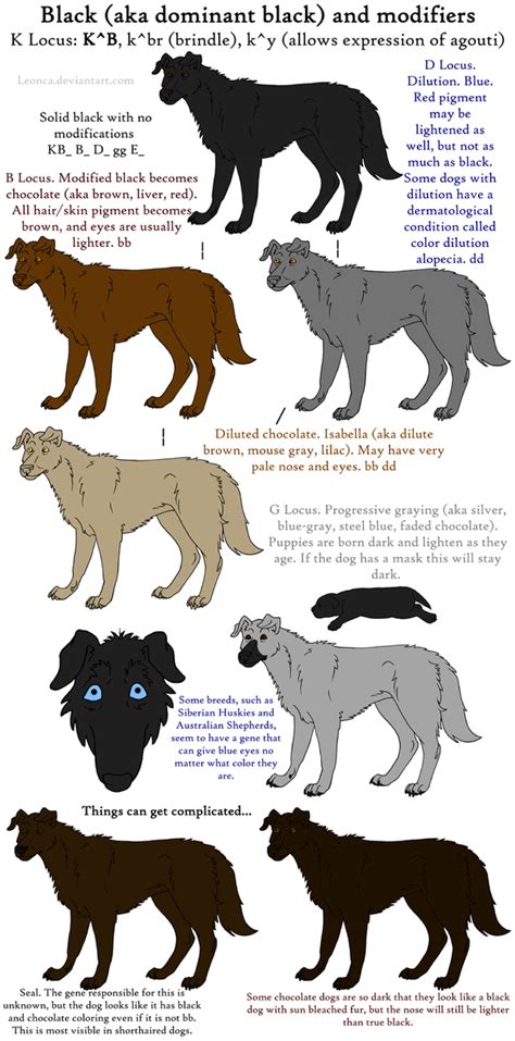 dog colors guide black  leonca  deviantart