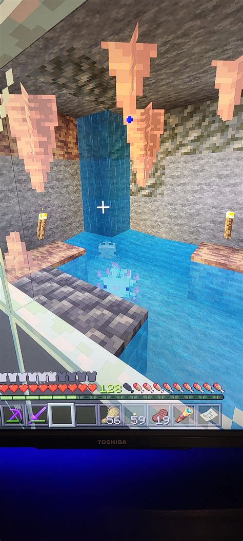 Axolotl Enclosure Minecraft