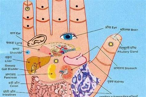 Acupressure Uses Certain Points On The Body To Induce Healing These Points Can Be On The Hands