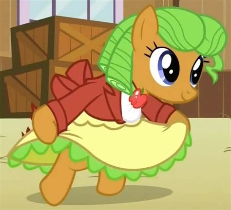 List Of Poniesearth Ponies My Little Pony Friendship Is Magic Wiki