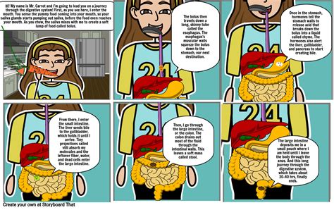 Digestive System Comic Strip Storyboard By 69dca7b0 Riset
