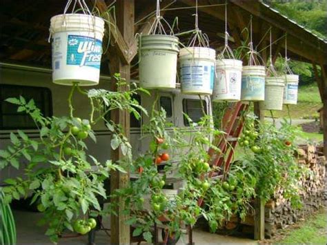40 Simple But Beautiful Bucket Gardening Ideas Carenthusias Hanging
