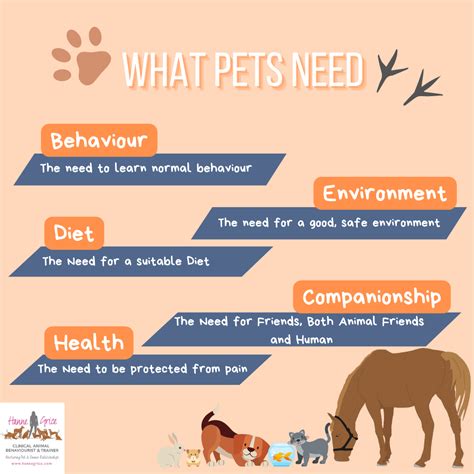 What Pets Need The 5 Welfare Needs Hanne Grice Pet Training And Behaviour