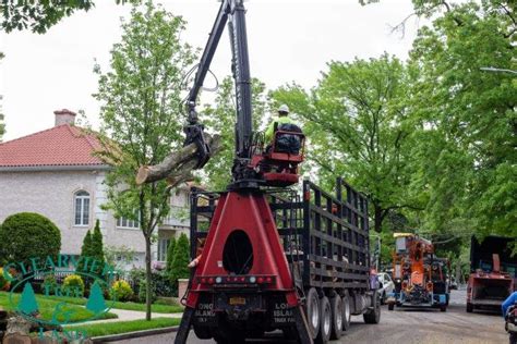 Long Island Tree Service Company Nyc Clearview Tree And Land Corp