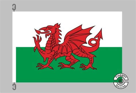 Die flagge von wales ( y ddraig goch , was bedeutet , ‚ der rote drache ') besteht aus einem roten drachen passant auf einem grünen und weißen feld. Wales Flagge Hissflaggen Premium Staaten International ...