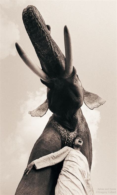 Pin By Roxi Ndoh On Aesthetic Gregory Colbert Elephant Photography