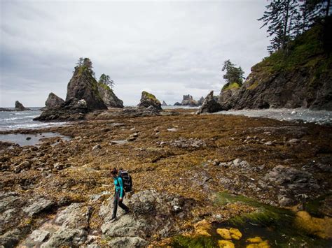 Everything To Know About Washingtons Olympic National Park