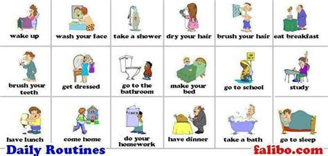Daily Routines English Verbs Learn English Vocabulary Learn English