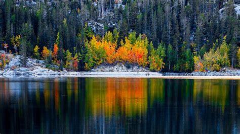 Fall Colors At Lake Sabrina Eastern Sierra California Snow Trees