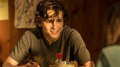 Beautiful Boy Trailer Gives Fresh Look At Timothée Chalamet Drug Drama