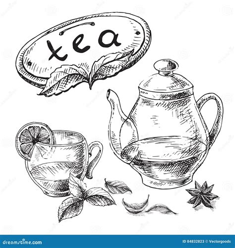Tea Collection Elements Stock Vector Illustration Of Drink 84832823