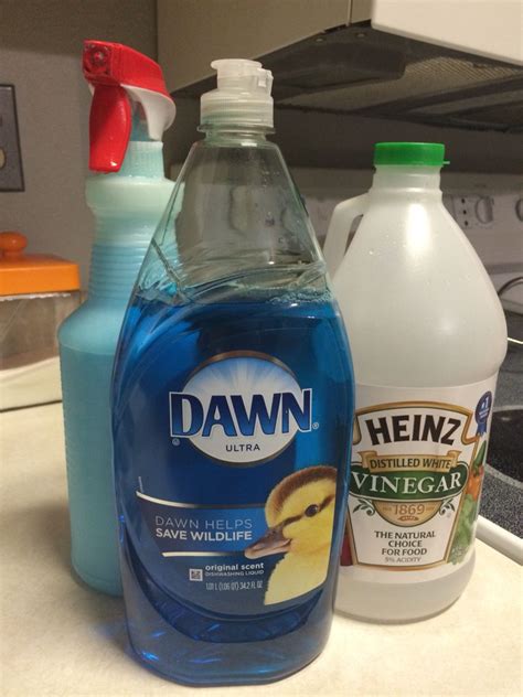 mix equal amounts of dawn dishwashing soap and vinegar and clean everything with this