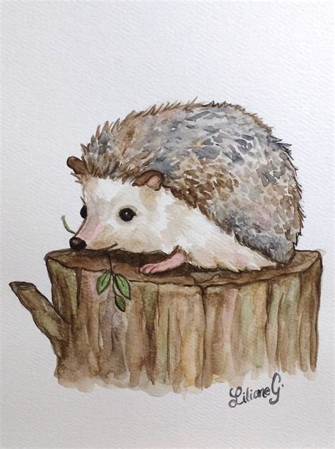 Hedgehog Original Watercolor Etsy Hedgehog Drawing Hedgehog