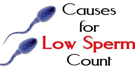 low sperm count causes signs symptoms diagnosis and treatment