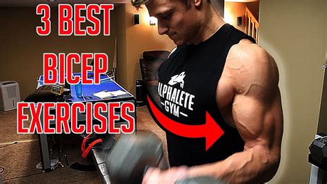 Bigger Biceps Fast Easy Exercises To Build Your Biceps Youtube
