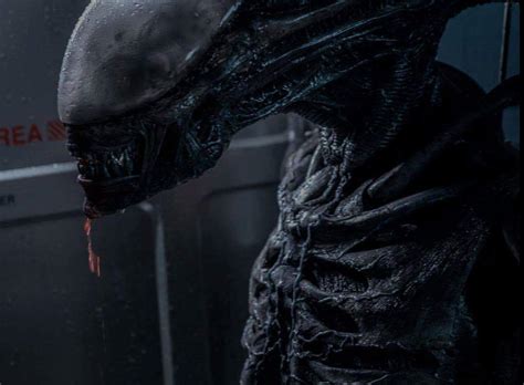 The sequel to covenant was originally due to start preproduction this month in sydney. Ridley Scott wants to 'replace' the Xenomorph in Alien ...
